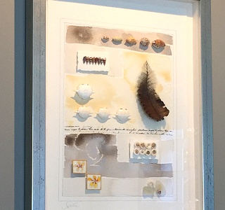 Savannah Studio Beach Front Accommodation Mission Beach