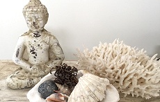 Savannah Studio Beach Front Accommodation Mission Beach